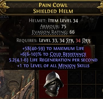 Pain Cowl Shielded Helm#459506