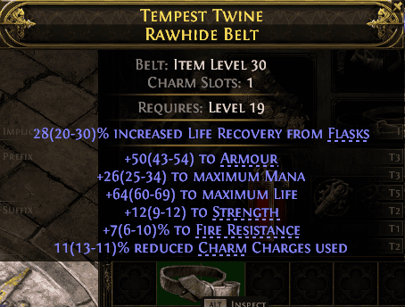 Tempest Twine Rawhide Belt#243213