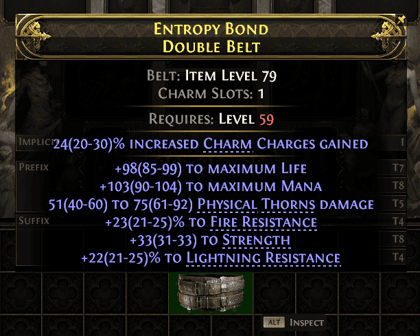 Entropy Bond Double Belt#830380