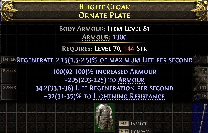 Blight Cloak Ornate Plate#568302